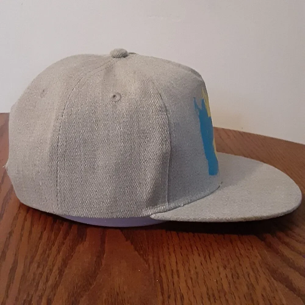 Scoob! Scooby Doo Gray Snapback Hat Unisex Kids Cartoon Movie EUC